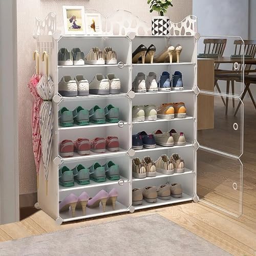 ORGANIZADOR DE ZAPATOS MODERNOS 6 NÍVELES - SOLO POR HOY